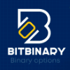 Bit Binary project overview