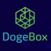 DogeBox Project Overview