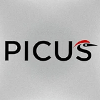 Picus project overview