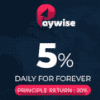 Paywise project overview