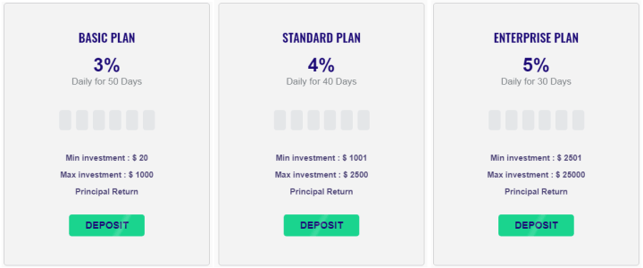 Investment plans of the Razorbits project