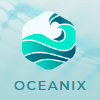 Oceanix project overview