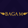 Обзор проекта Bagam