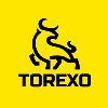 Torexo project overview