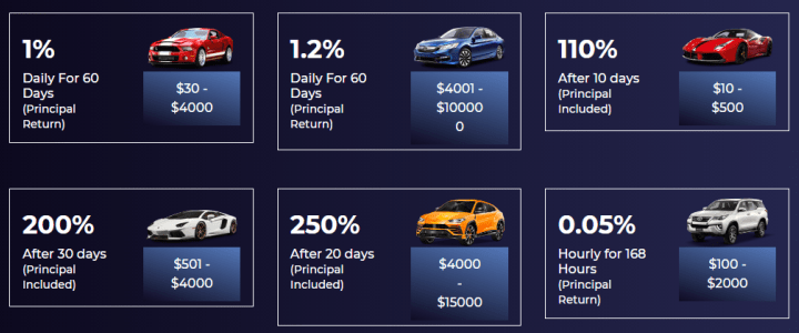 Investment plans of the Zoom Cars project