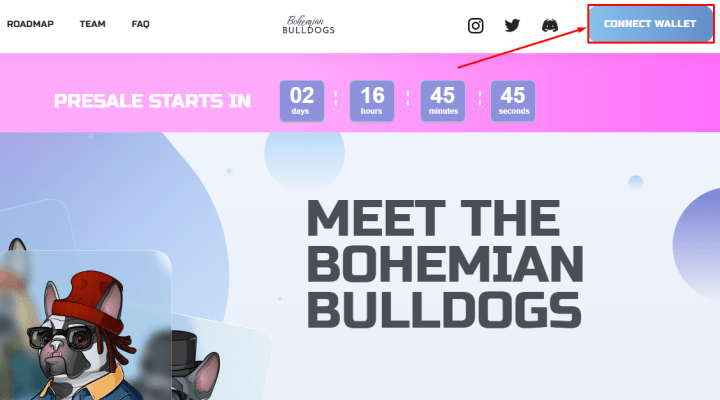 Подключение кошелька в проекте Bohemian Bulldogs