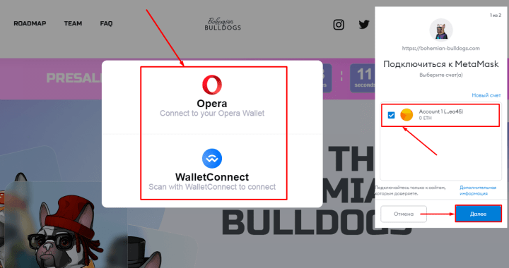 Connecting a wallet in the Bohemian Bulldogs project