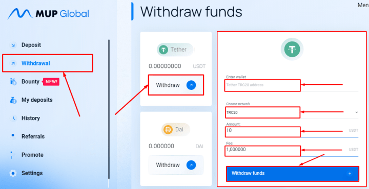 Withdrawal of funds in the Mup Global project