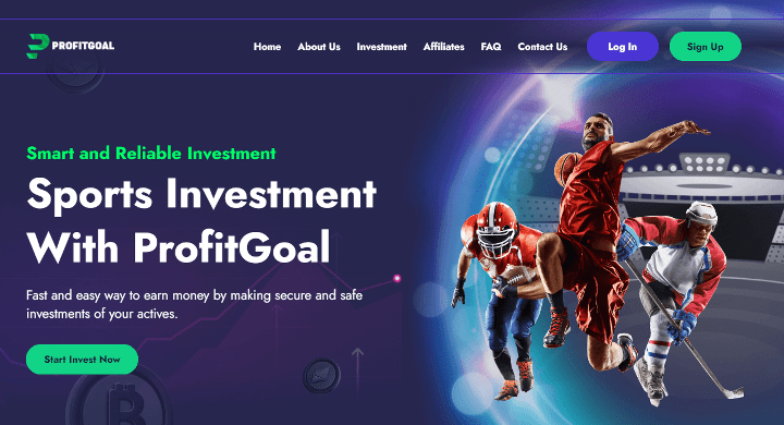 Overview of the ProfitGoal project