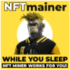 Overview of the NFTmainer project