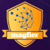 Overview of the Magfier project