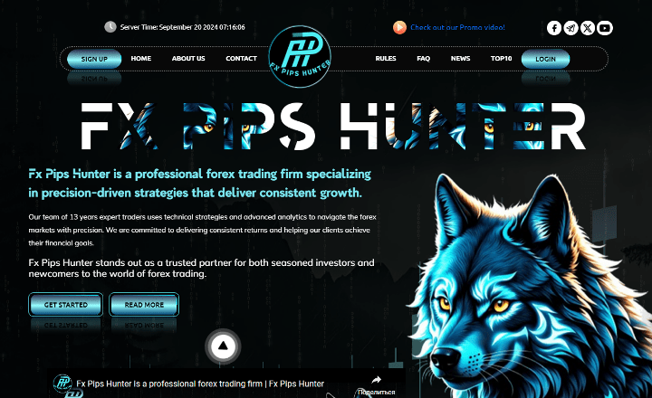 Обзор проекта Fx Pips Hunter